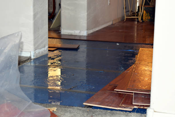 Professional Water Damage Restoration technician working in Moundsville, WV
